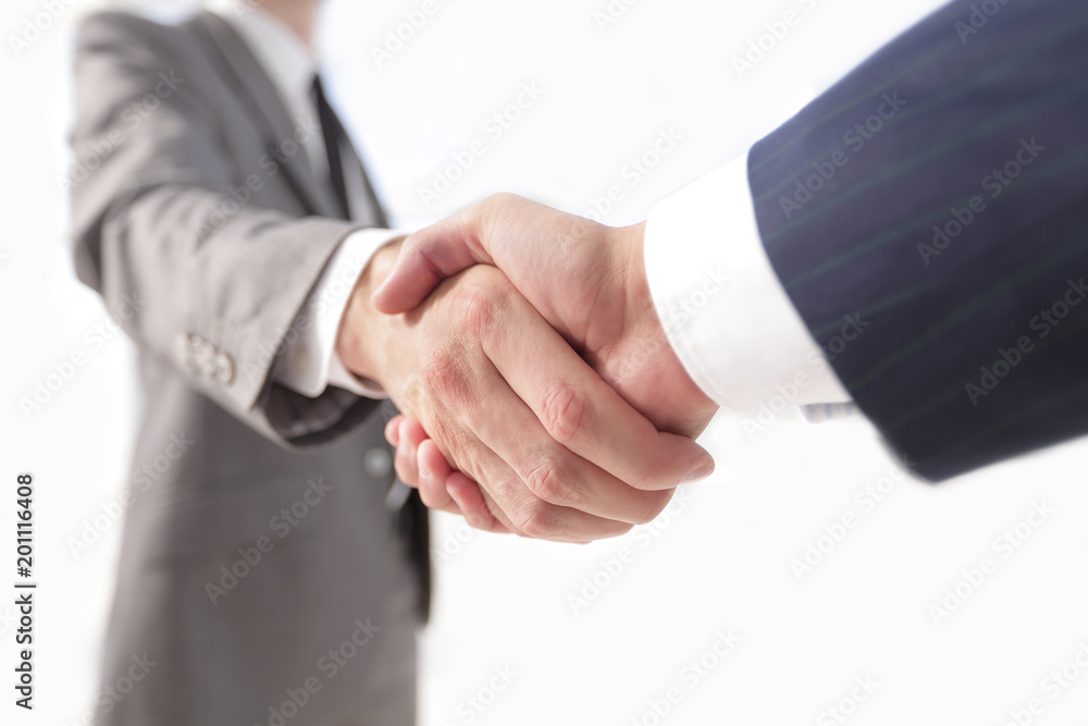 Diverse business male shaking hands. Diverse business male shaking hands.