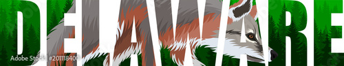 vector Delaware - American state word with grey fox (Urocyon cinereoargenteus)
