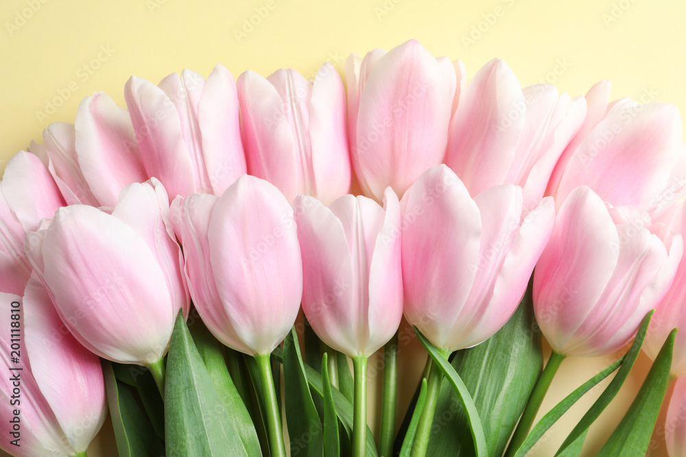 Fototapeta premium Beautiful composition with tulips for Mother's Day on color background