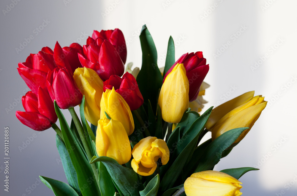 bouquet of red and yellow tulips and daffodils bouquet of red and yellow tulips and daffodils