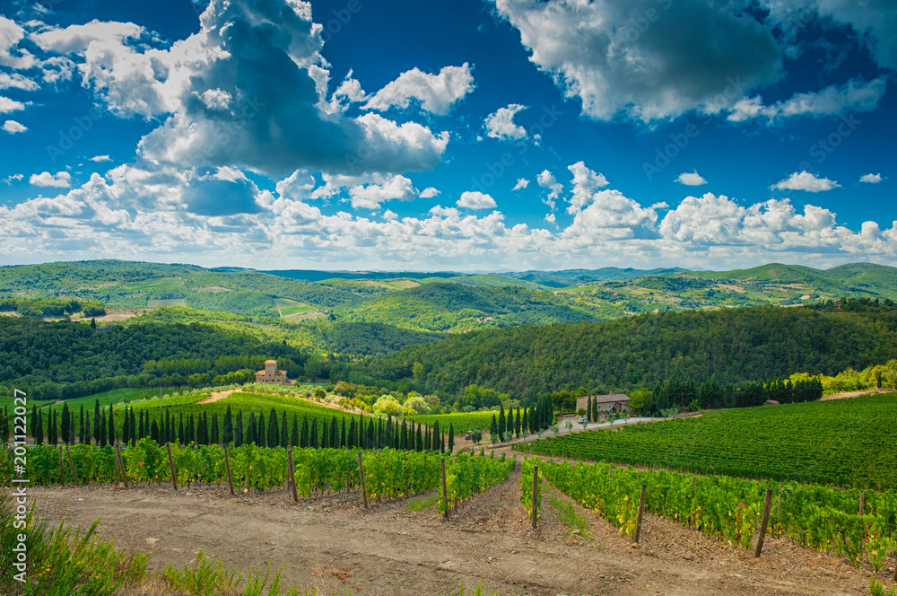 Nice Tuscan vineyards