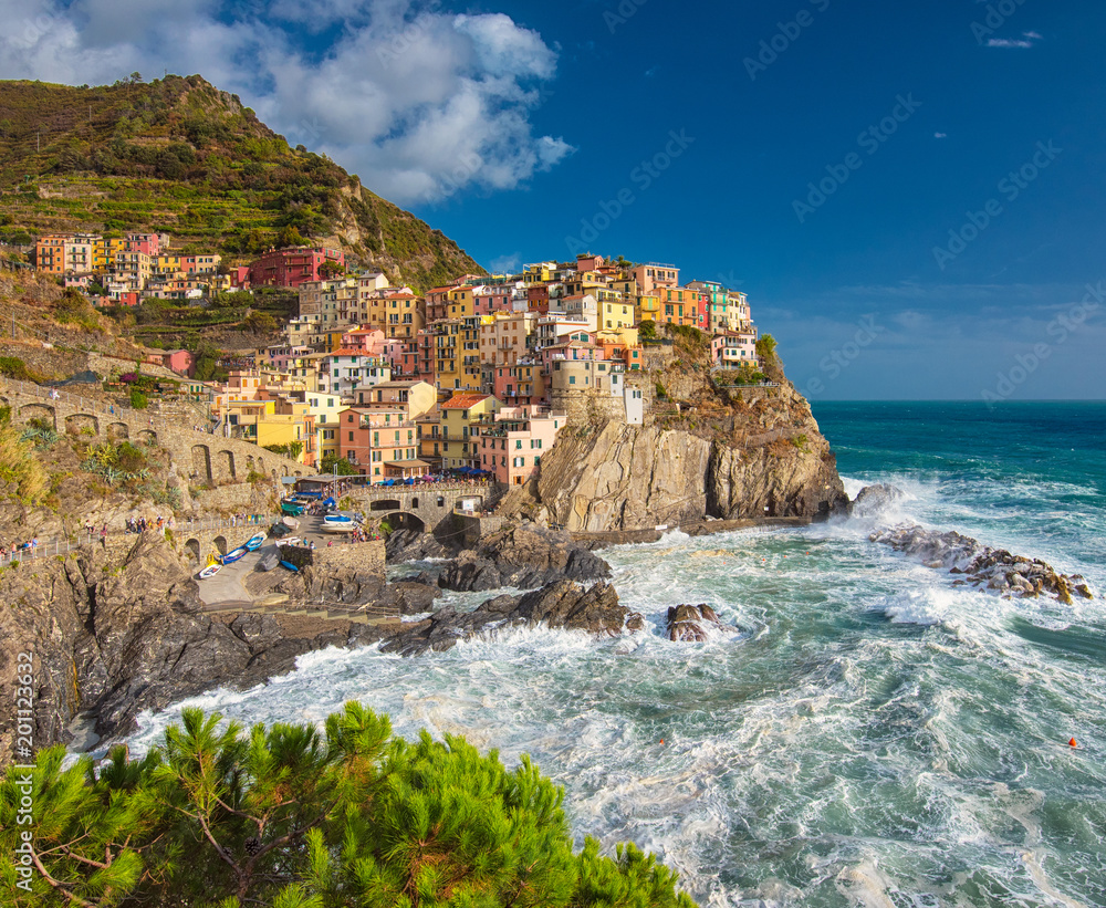 View on Manarola, Cinque Terre