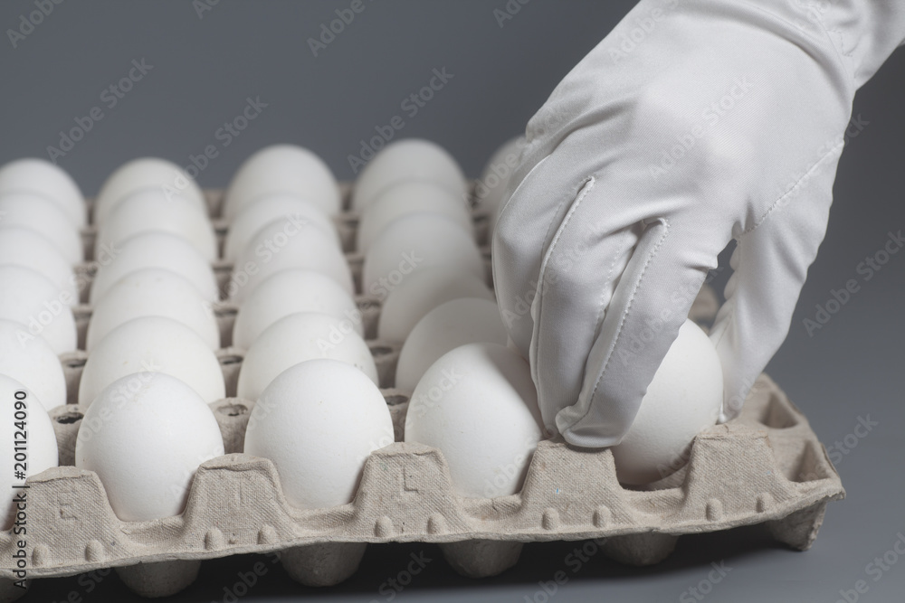 Hand in white glove holding chicken white eggs Hand in white glove holding chicken white eggs