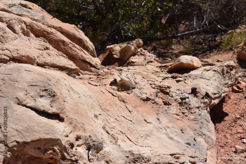Geologic Wonders of Arches National Park - Utah Geologic Wonders of Arches National Park - Utah