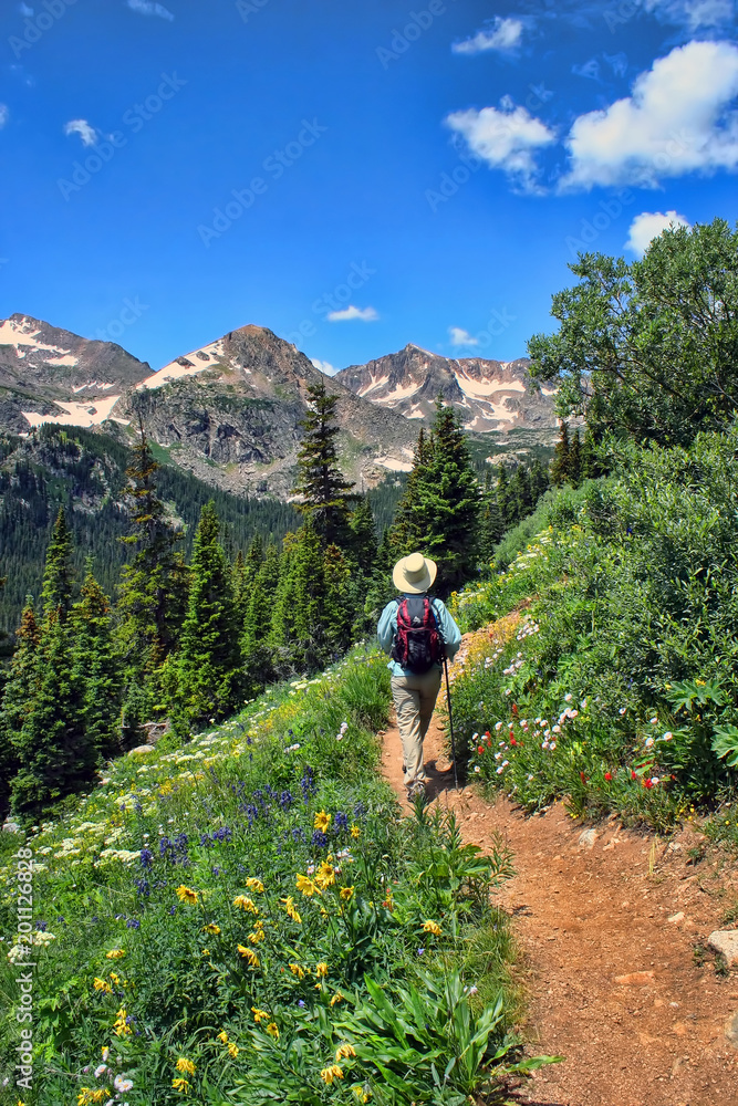 Hiker on the Arapaho Pass Trail in the Indian Peaks Wilderness, Boulder County, Colorado