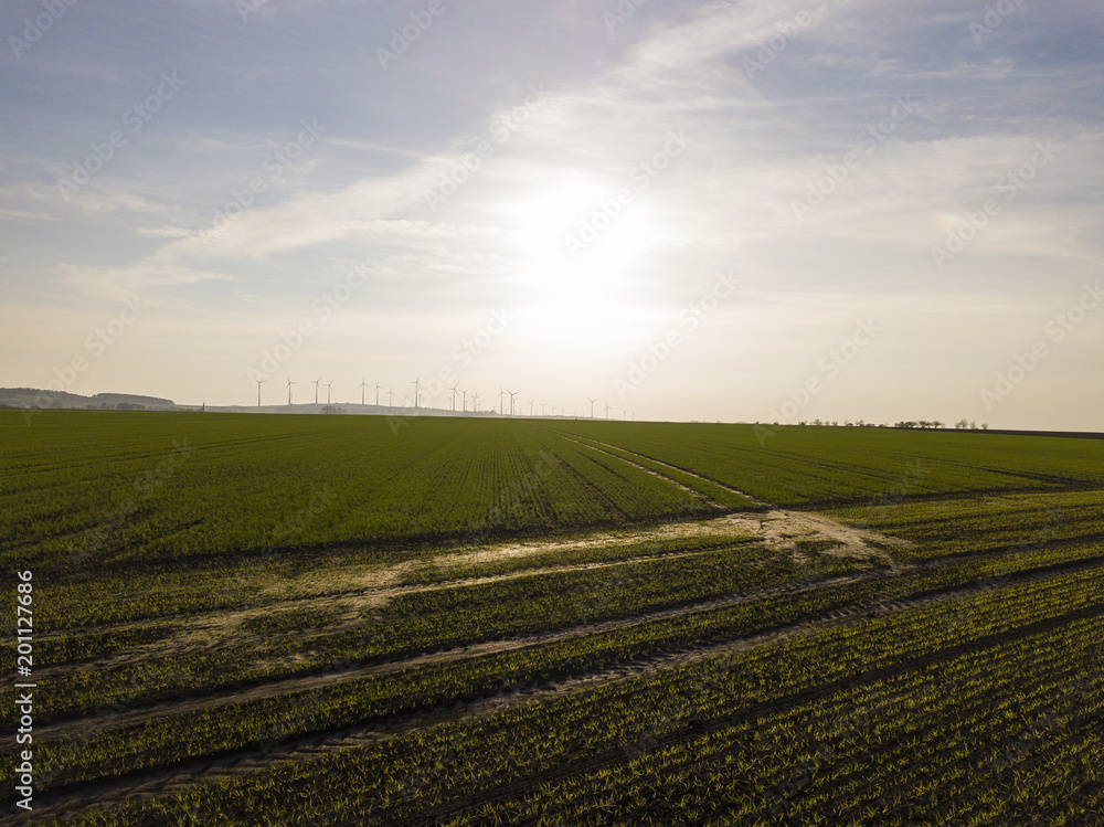 Fields in Saxony-Anhalt ( Germany ) from above in spring