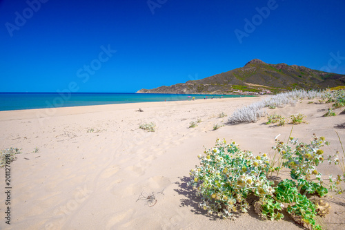 Spiaggia di San Nicolo and Spiaggia di Portixeddu beach in San Nicolo town  Costa Verde  Sardinia  Italy