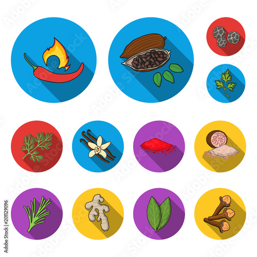 Herb and spices flat icons in set collection for design.Different kinds of seasonings vector symbol stock web illustration.