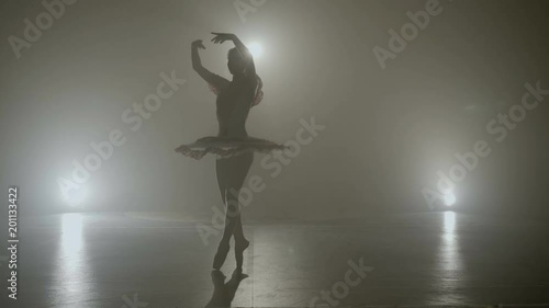 Young skinny graceful ballerina dancing on a dark stage as part of the audition for an a show