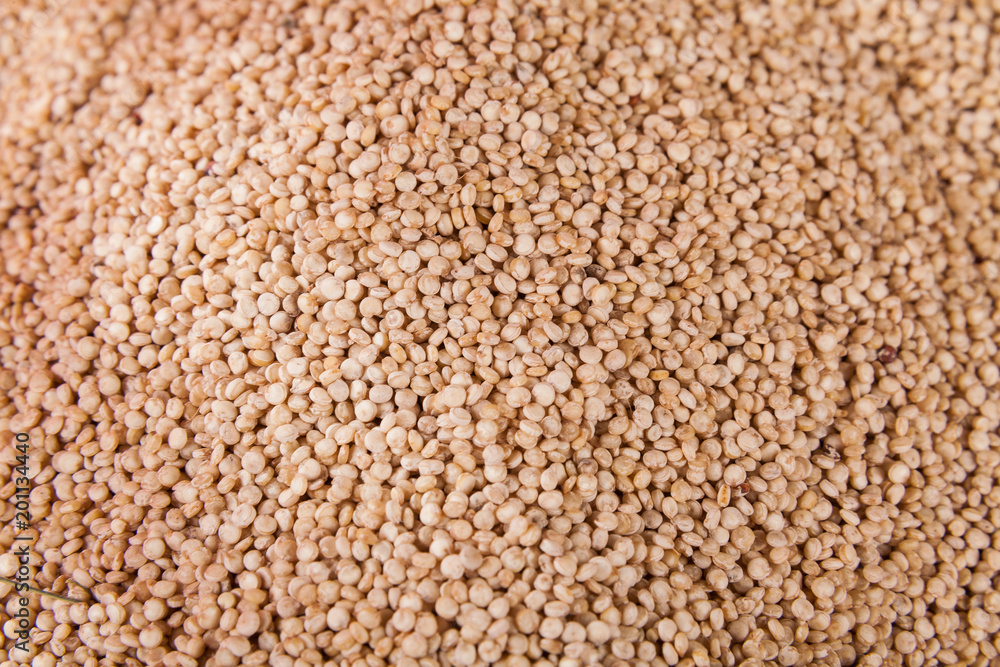 White quinoa seeds, a superfood with many health benefits - Chenopodium quinoa White quinoa seeds, a superfood with many health benefits - Chenopodium quinoa