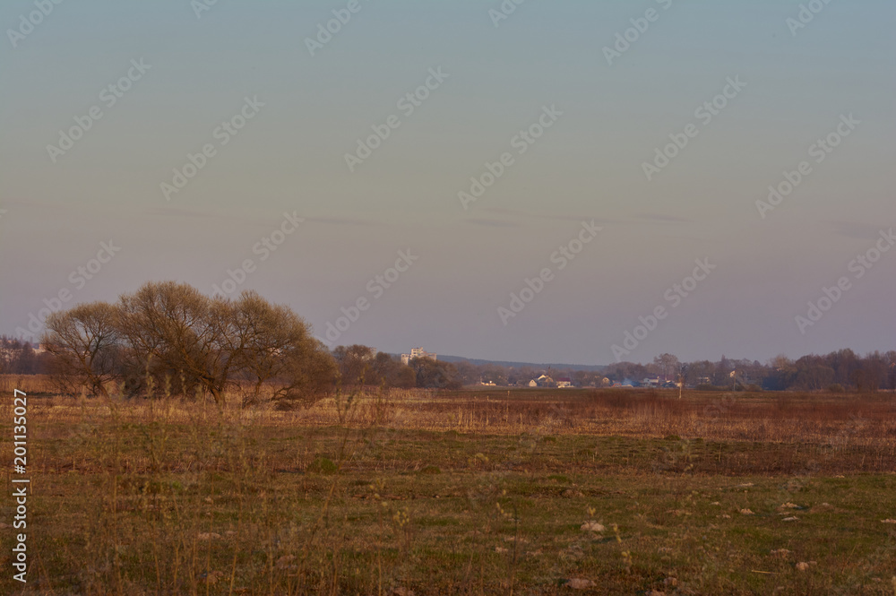 Early spring in nature. Sunset on a rural landscape. View of the city. Outdoor recreation.Stock image for design. Trees and grass on a meadow Early spring in nature. Sunset on a rural landscape. View of the city. Outdoor recreation.Stock image for design. Trees and grass on a meadow