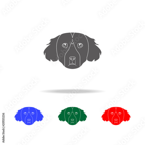 Setter face icon. Elements of dogs multi colored icons. Premium quality graphic design icon. Simple icon for websites, web design; mobile app, info graphics photo
