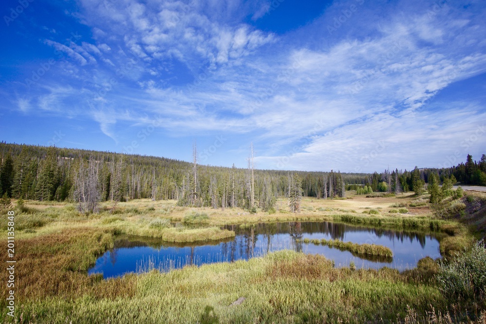 Lake and landscape