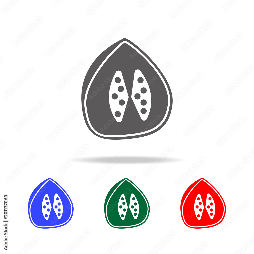 pitaya icon. Elements of Indian culture multi colored icons. Premium quality graphic design icon. Simple icon for websites, web design, mobile app, info graphics pitaya icon. Elements of Indian culture multi colored icons. Premium quality graphic design icon. Simple icon for websites, web design, mobile app, info graphics