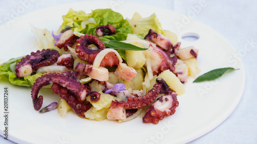 octopus salad with potato
