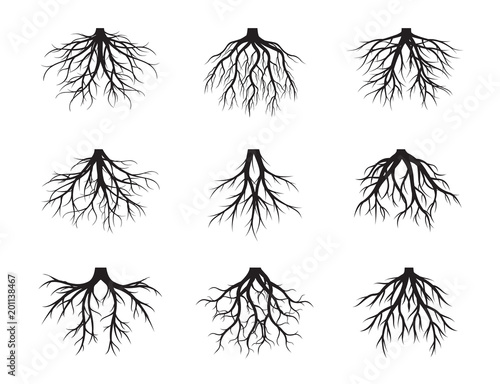 Big set of Black Roots Tree. Vector Illustration.