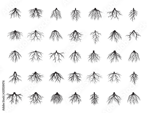 Big set of Black Roots Tree. Vector Illustration.