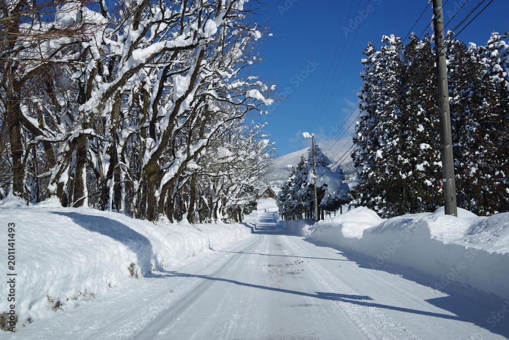 Obraz premium 雪で真っ白の道路