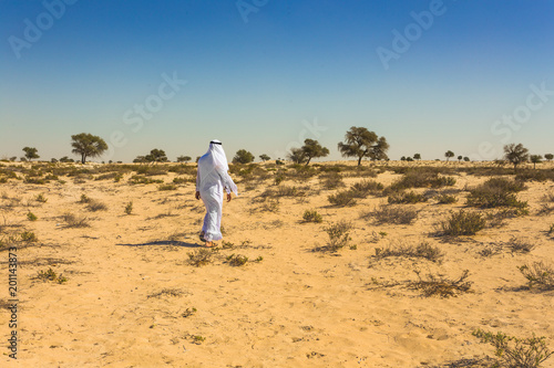  Arabian desert