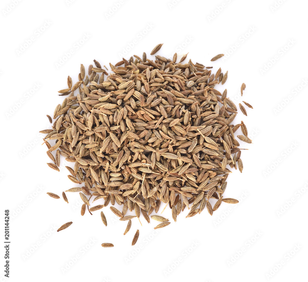caraway, meridian fennel, Persian cumin isolated on white background caraway, meridian fennel, Persian cumin isolated on white background