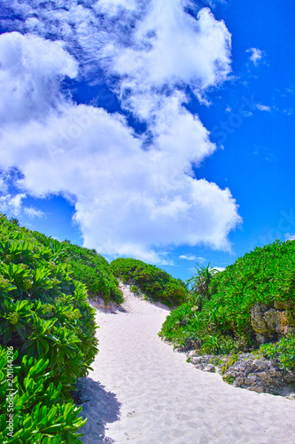 真夏の宮古島。砂山ビーチへ下りる砂の坂道