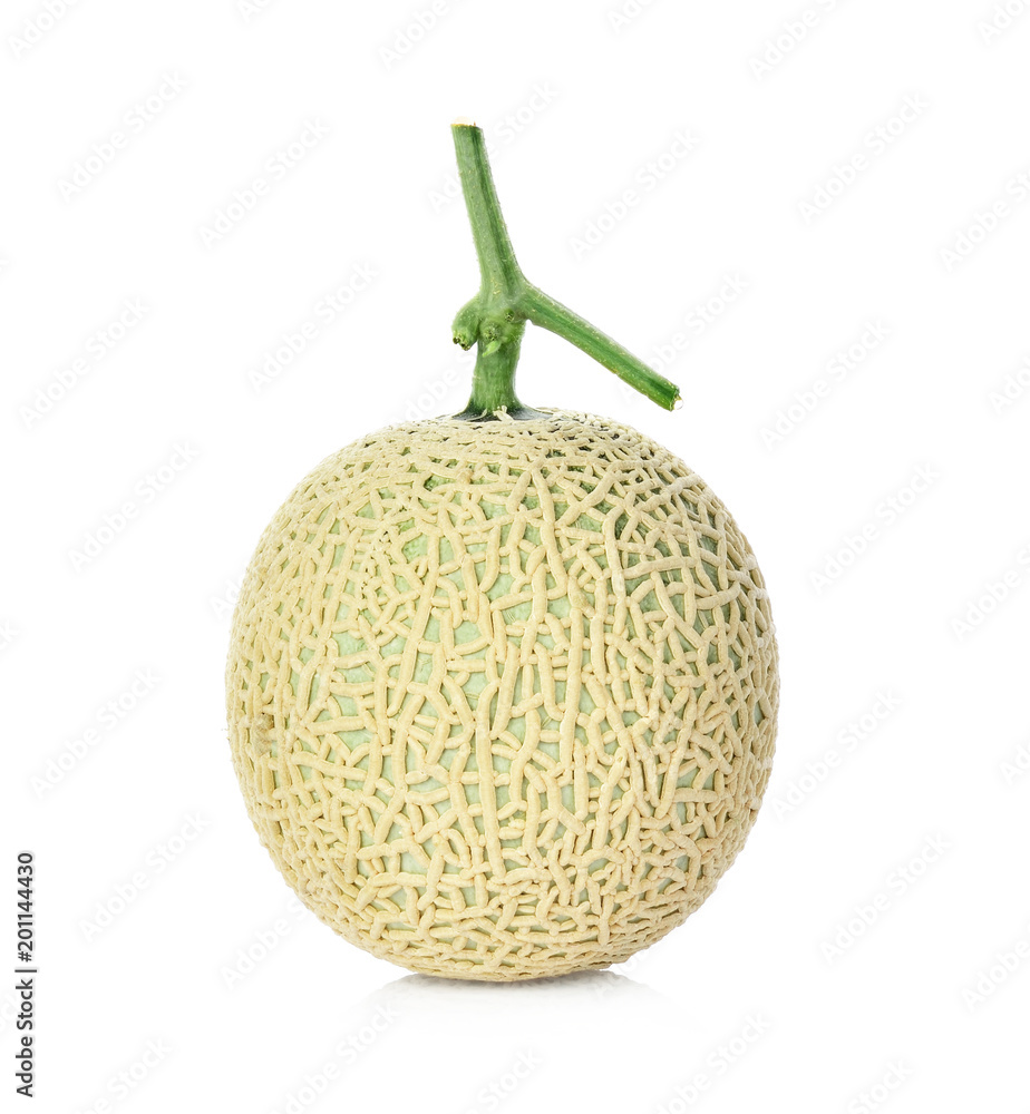 cantaloupe melon isolated on white background cantaloupe melon isolated on white background
