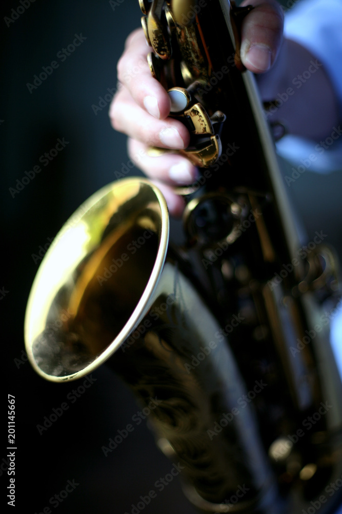 Obraz premium Saxophone