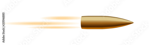 realistic bullet flies