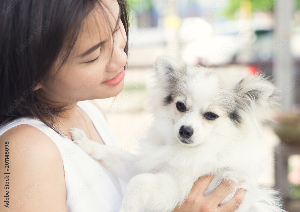 Closeup happy woman with white pomeranian dog on hand, pet health care concept with soft and selective focus Closeup happy woman with white pomeranian dog on hand, pet health care concept with soft and selective focus