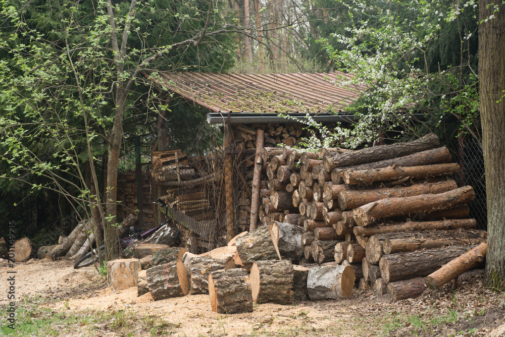 pile of firewood pile of firewood