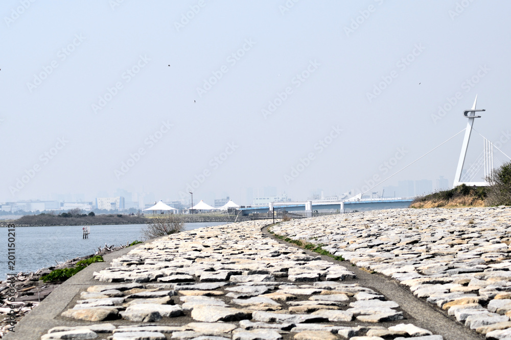 Fototapeta premium 葛西臨海公園 葛西渚橋方面