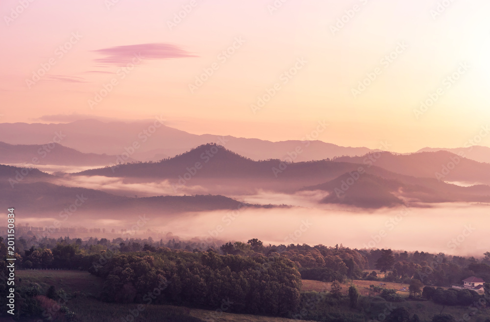 landscape view of sunrise on high angle view with white fog in early morning over rainforest mountain
