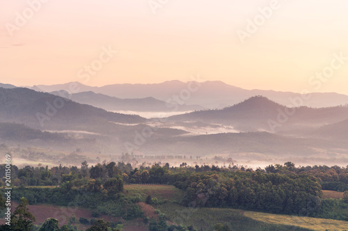 Fototapeta Naklejka Na Ścianę i Meble -  landscape view of sunrise on high angle view with white fog in early morning over rainforest mountain in thailand 