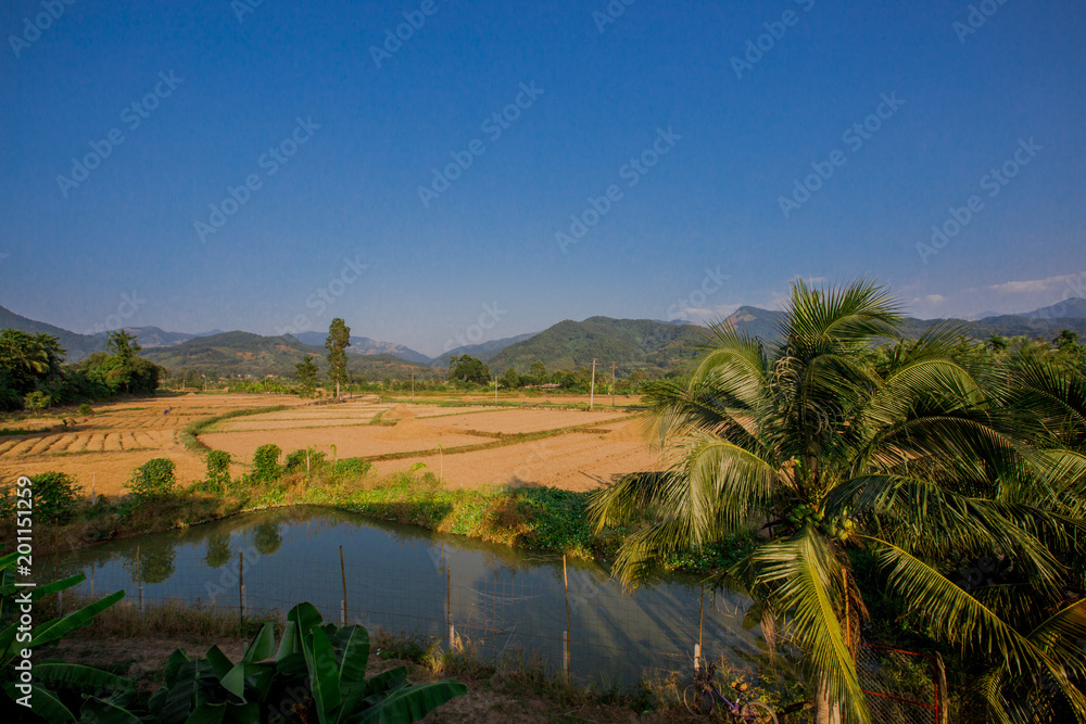 Rice fields are harvested. (Agriculture) in Pua District, Nan Province, Thailand.