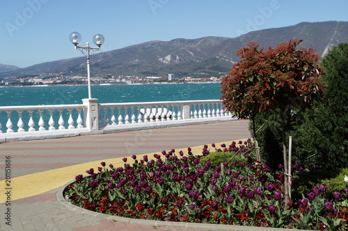 Image of the sea promenade.
