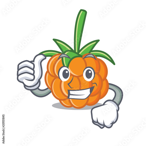 Thumbs up cloudberry character cartoon style
