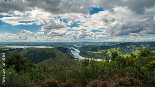 Kauri Loop track in Hakarimata, Waikato region, North Island of New Zealand
