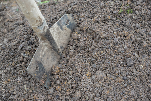 Gardening tool inserted in the soil.
