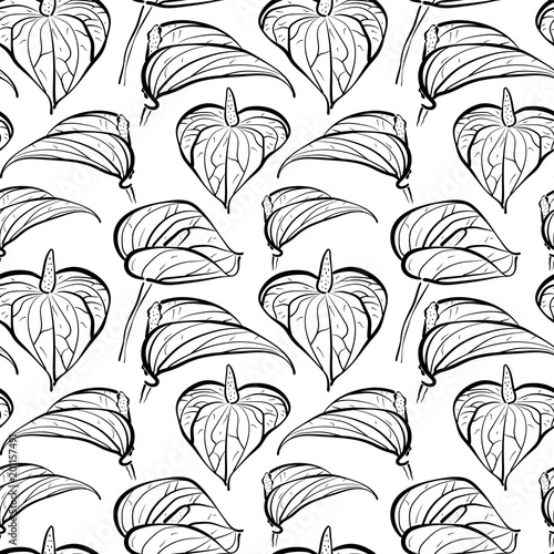 Seamless pattern with flowers of Calla Lily in black and white colors