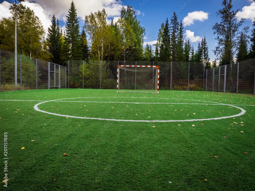 Soccer Field Grass Goal