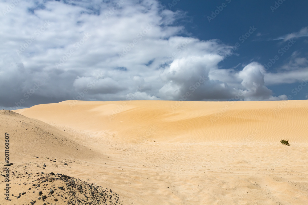 Corralejo Sand Dunes in Fuerteventura, Spain