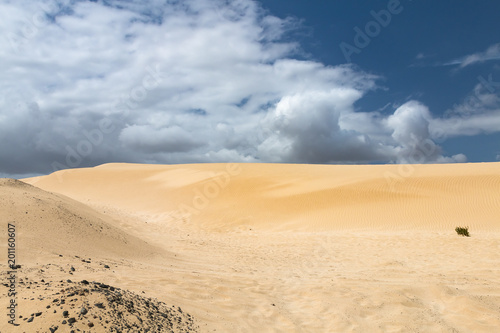 Corralejo Sand Dunes in Fuerteventura  Spain
