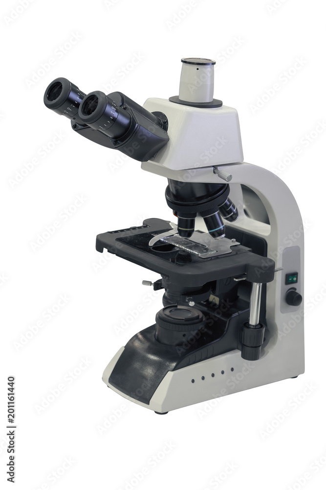 electron microscopes allow the study of the structure and the structure of different materials.
