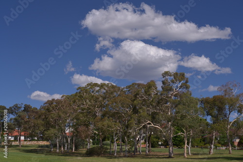 Canberra street view © TPG