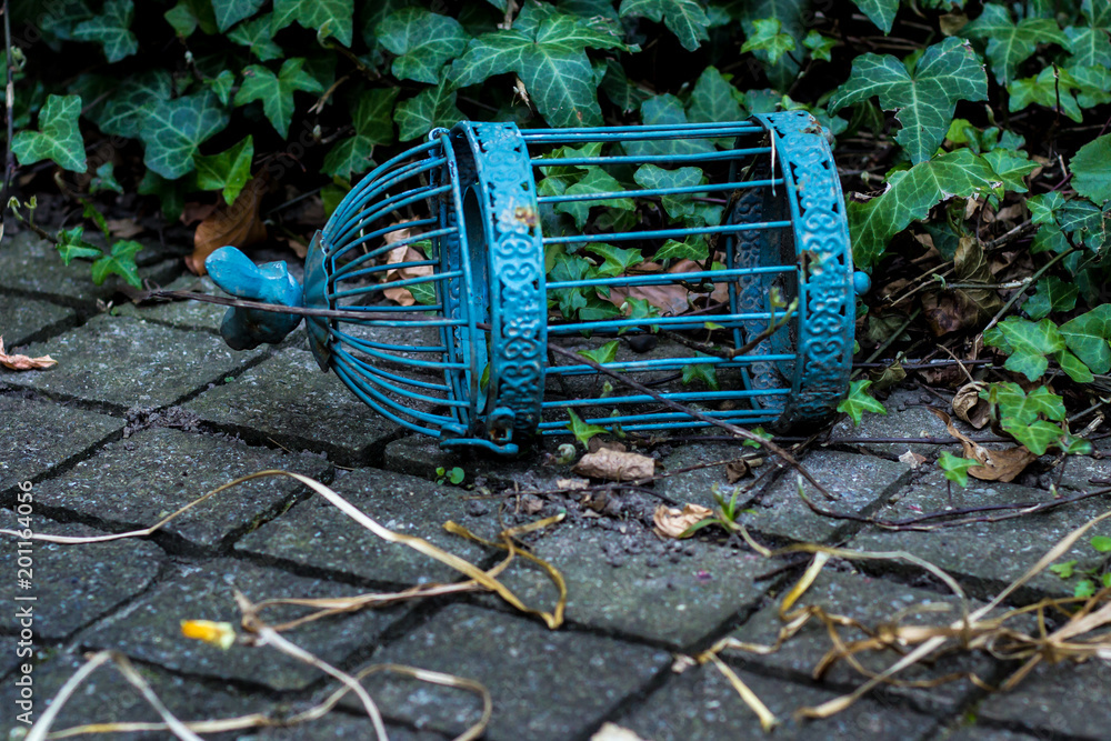 Fototapeta premium Old Brid Cage On Floor