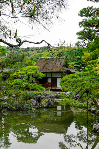 House covered by forest in Japan