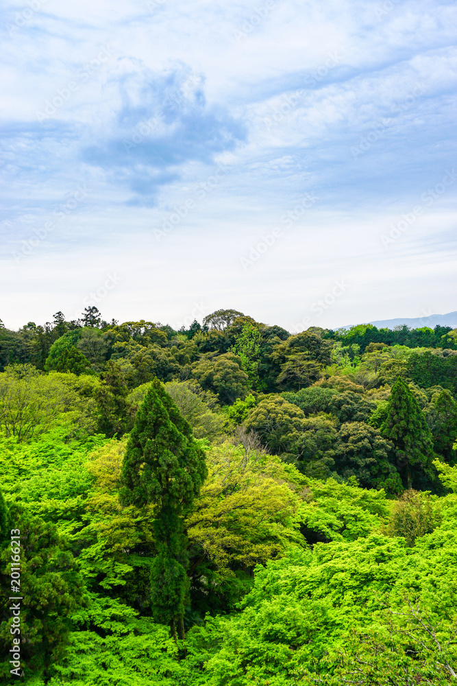 Japanese traditional garden in Kyoto