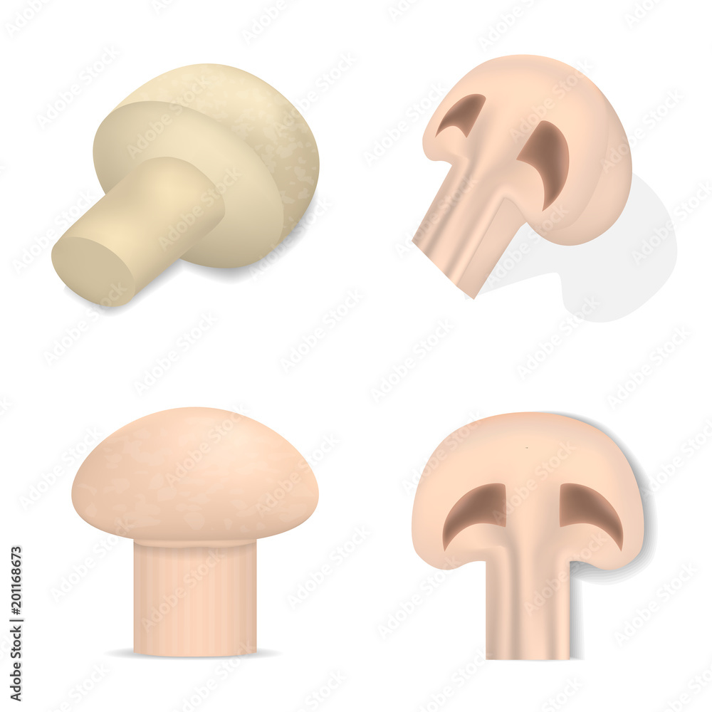 Champignon mockup set. Realistic illustration of 4 champignon mockups for web