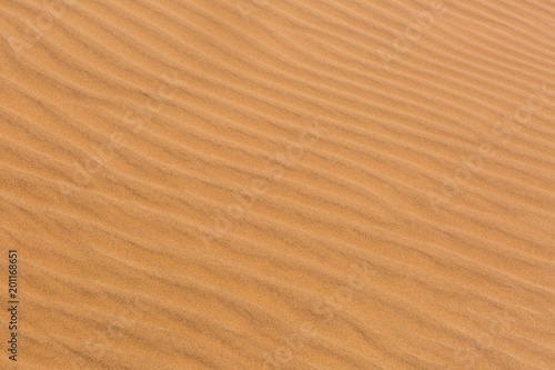 Desert sand background © nielvdw