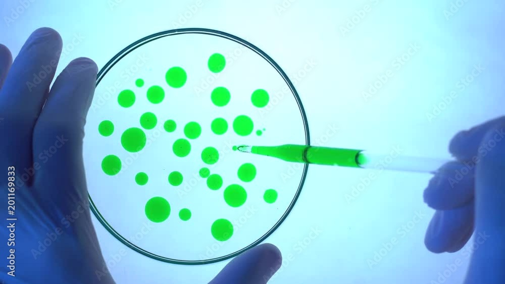 Chemical research in Petri dish. Laboratory pipette with green liquid. Chemical research in Petri dish. Laboratory pipette with green liquid.